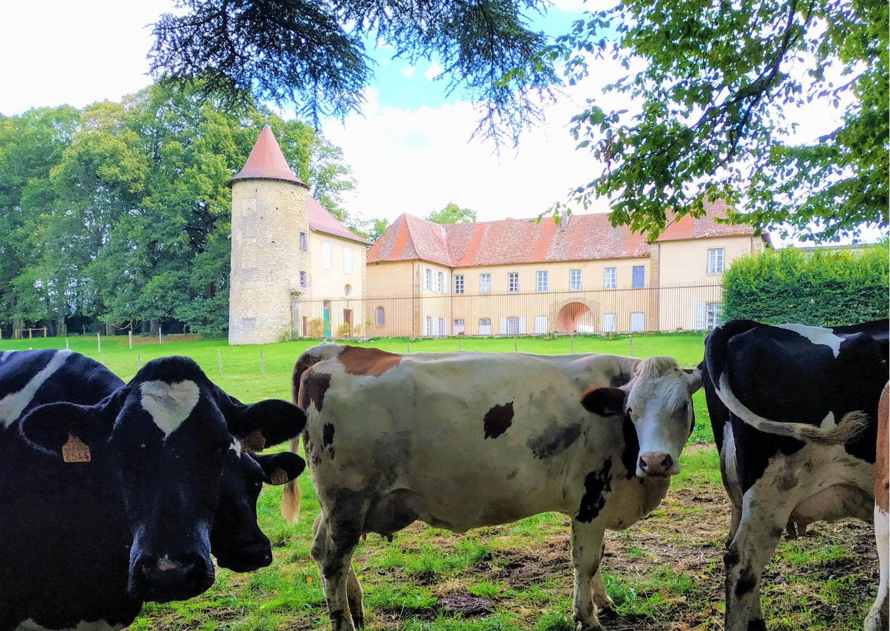 Découvrez le château de Vallin à Saint-Victor-de-Cessieu