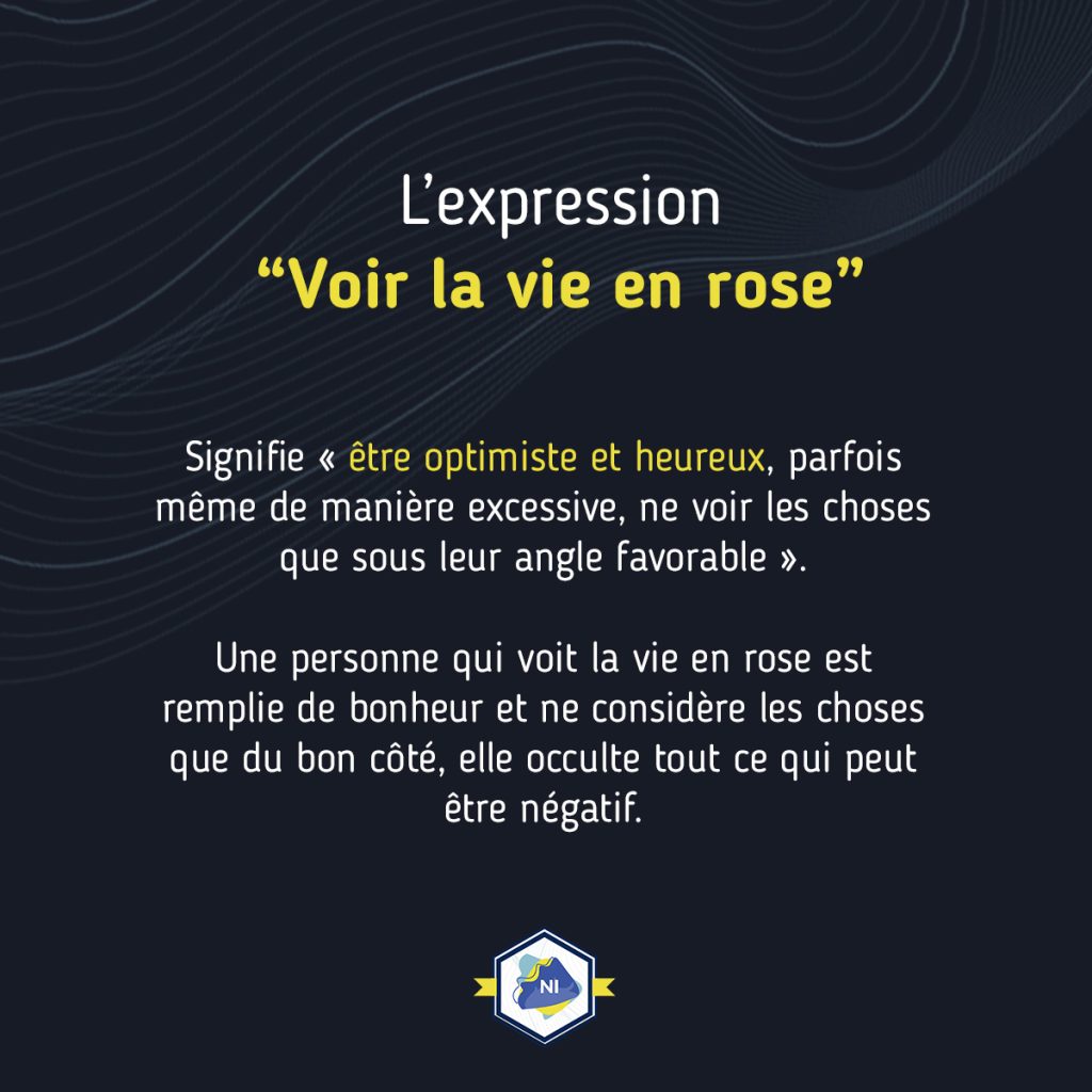 Opticiens en Nord-Isère infographie